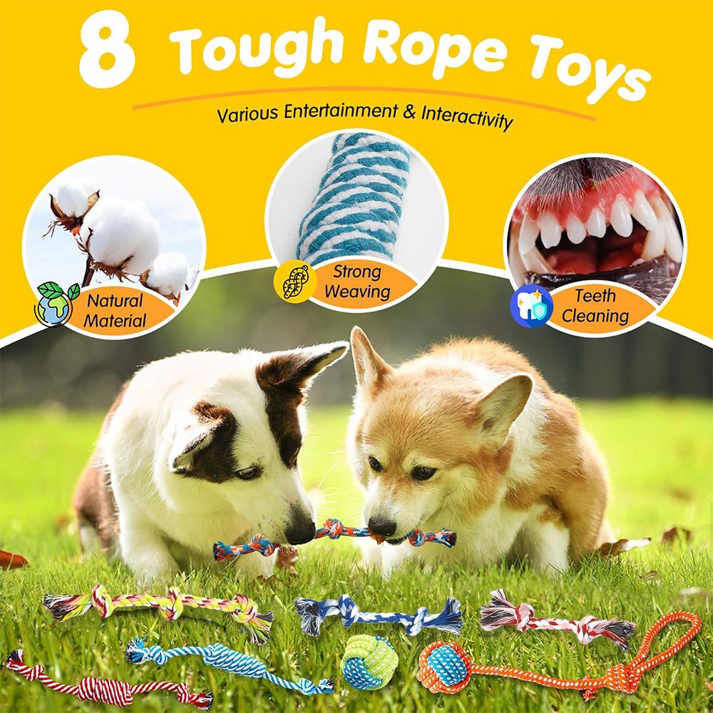 25 Pack Luxury Dog Toys