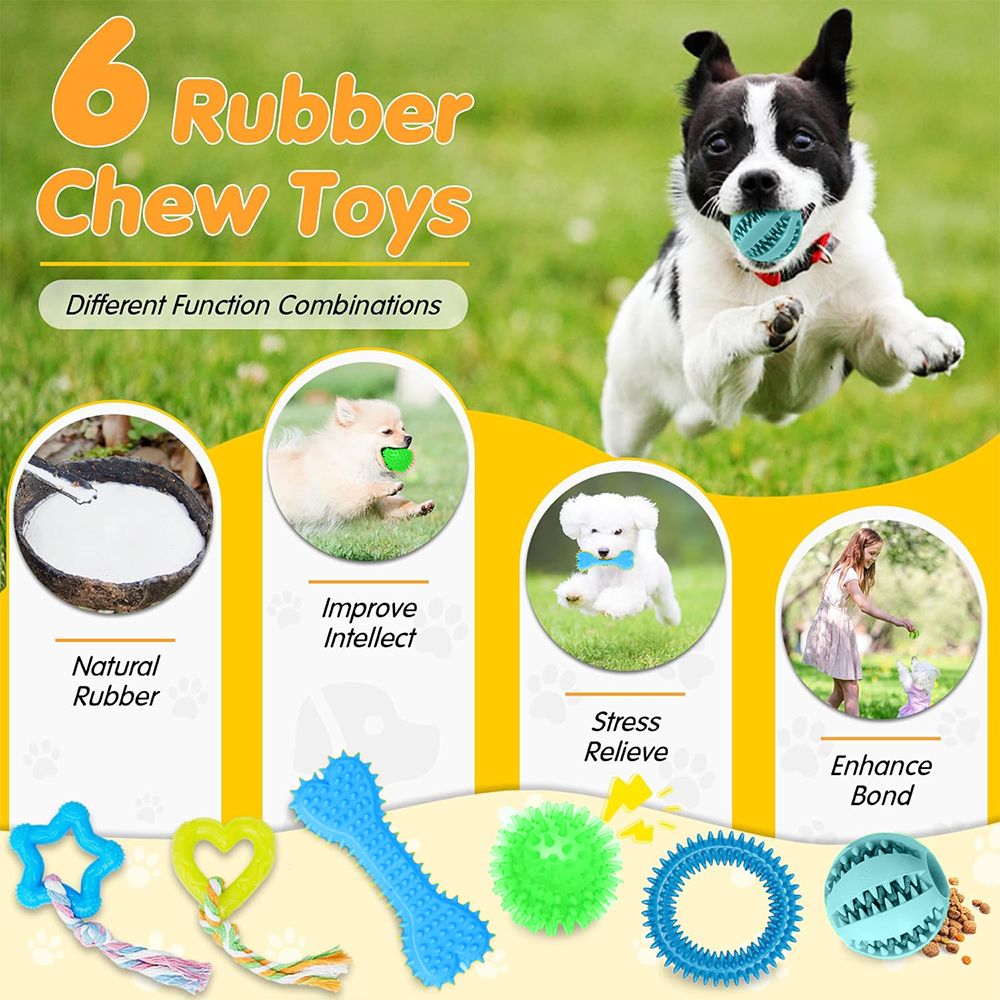 25 Pack Luxury Dog Toys