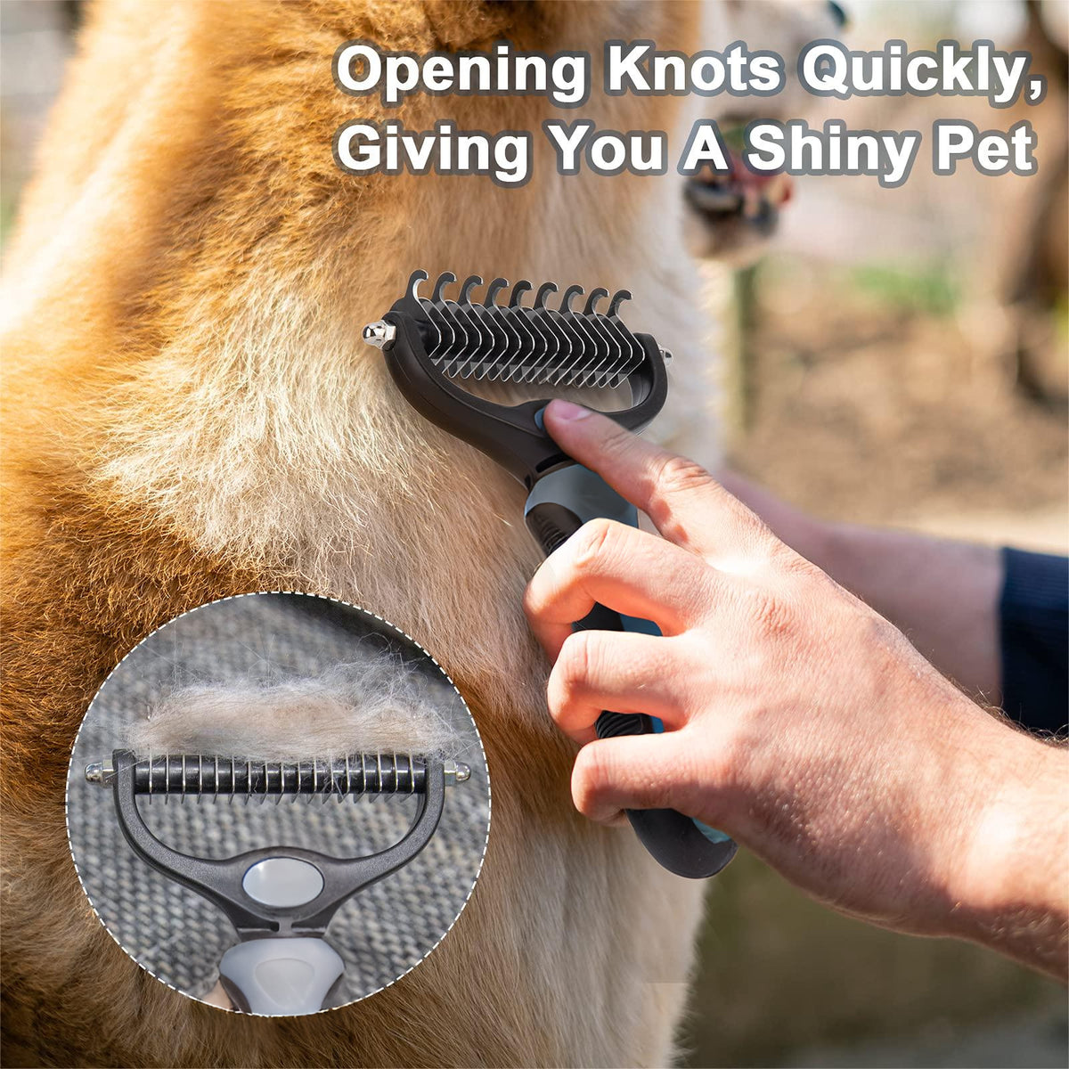 Dog & Cat Brush