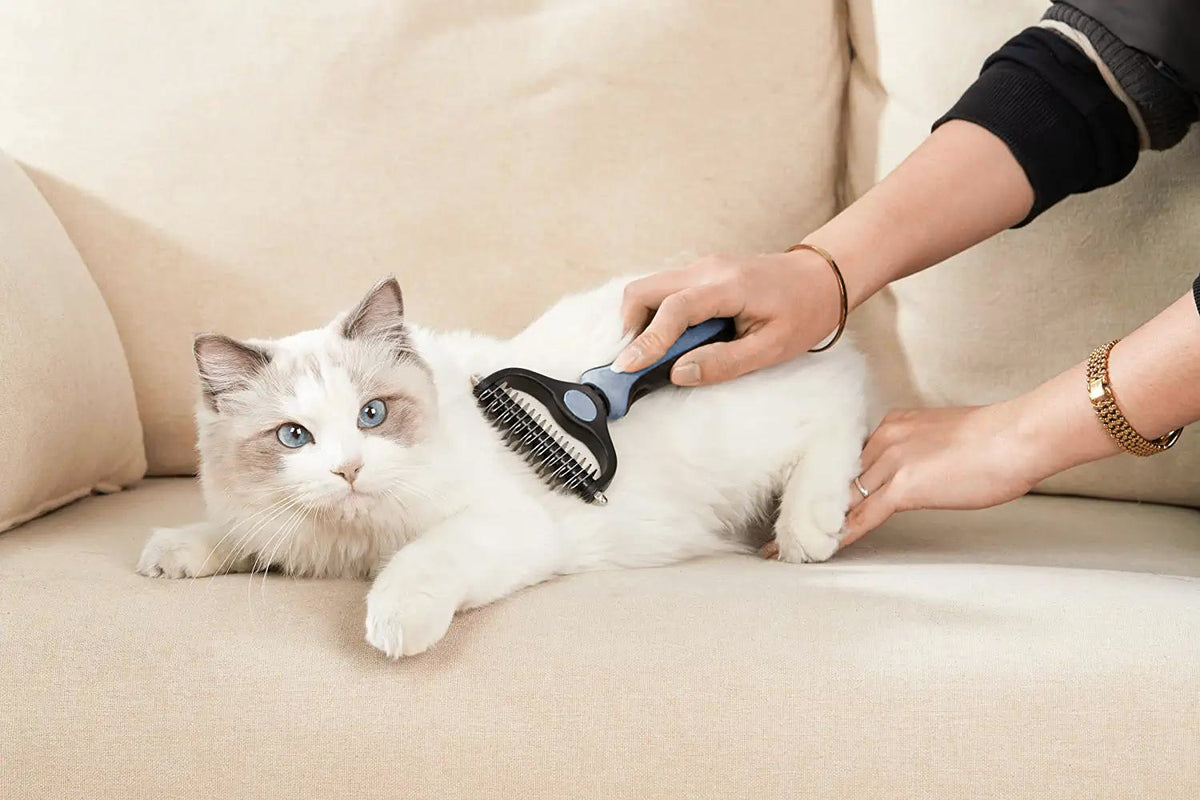 Dog & Cat Brush