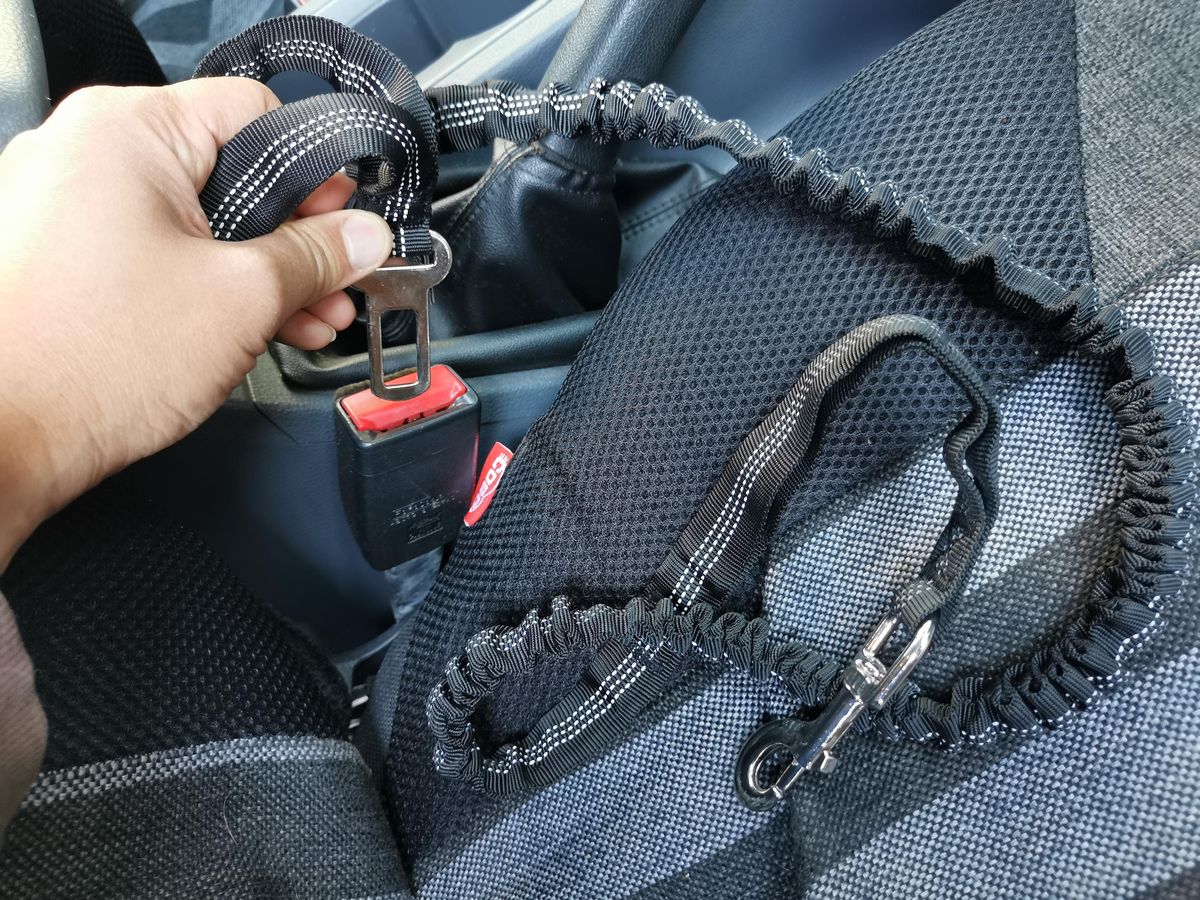 Dog Leash with Seatbelt Clip Stretchable Dog Lead 1.3m